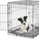 Dogit 2 Door Black Dog Crate - Small Dogit 2 Door Black Dog Crate - Small