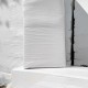Grade 1 Kiln Dried Sawdust (£5.92 per bale if you order 66 bales) Grade 1 Kiln Dried Sawdust (£5.92 per bale if you order 66 bales)