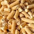 Sawdust / Wood-Pellet Bedding