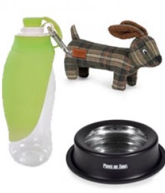 Pet Accessories