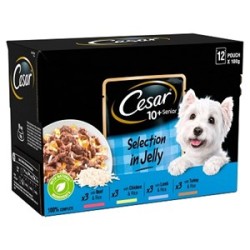 Cesar Pouch Deliciously Fresh Senior 10+ Selection in Jelly 4 x 12 x 100g