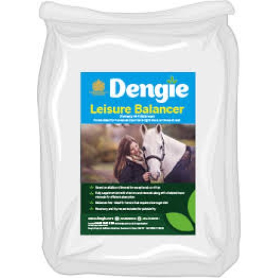 Dengie Leisure Balancer 15KG Dengie Leisure Balancer 15KG