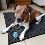 Henry Wag Microfibre Noodle Pet Mat 