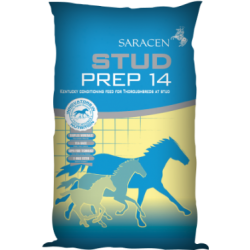 Saracen Stud Prep 14 20 kg
