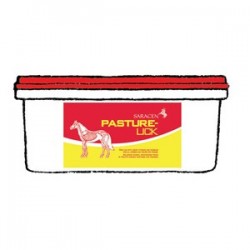 Saracen Pasture-Lick 10kg