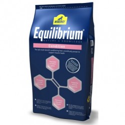 Winergy Equilibrium Condition 20 kg