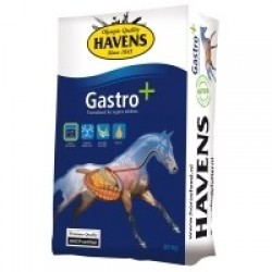 Havens Gasto +