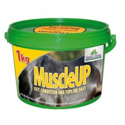 Global Herbs Muscle Up 1kg