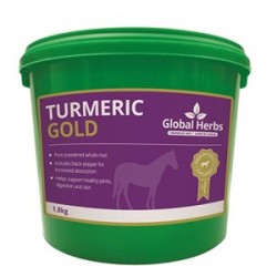 Global Herbs Turmeric Gold 1.8 kg