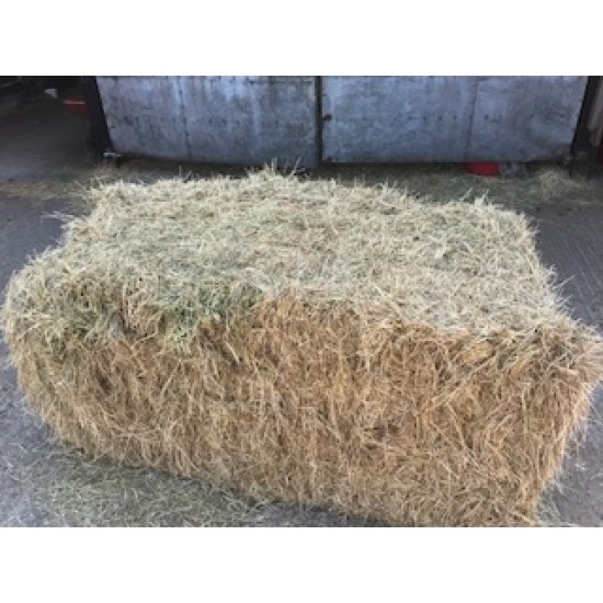 Hay bale aprox 6ft x 2ft 9' x 2ft 9' bale Hay bale aprox 6ft x 2ft 9' x 2ft 9' bale