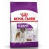 Royal Canin Giant Adult 15kg