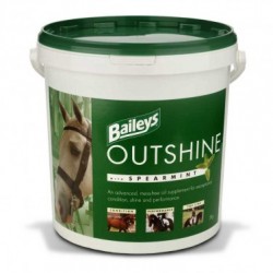 Baileys Outshine Spearmint 20kg