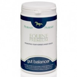 Protexin Gut Balancer 400g