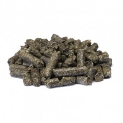 Trident Equibeet Pellets 20 kg