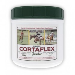 Equine America Cortaflex HA Regular Strength Powder 500g