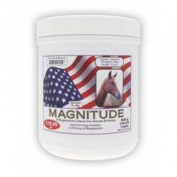 Equine America Magnitude Powder 908 g