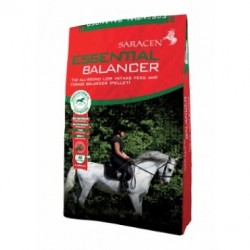 Saracen Essential Balancer 20KG