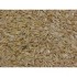 Friendship Estates Whole Oats 20kg