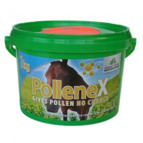 Global Herbs PolleneX 1 kg