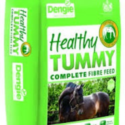 Dengie Healthy Tummy 15 kg