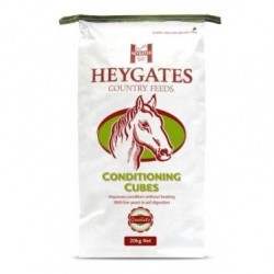 Heygates Conditioning Cubes