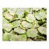 Allen & Page Micronised Flaked Peas 20 kg