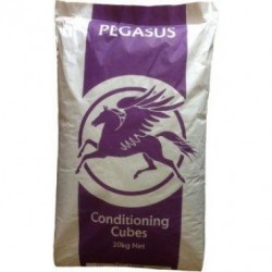 Pegasus Conditioning Cubes 20kg