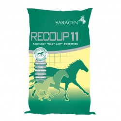 Saracen Recoup 11 20 kg