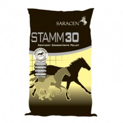 Saracen Stamm 30 20 kg