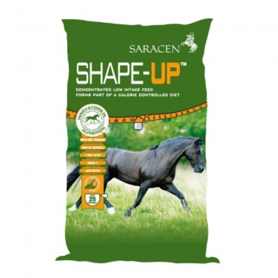 Saracen Shape-Up Balancer 20 kg