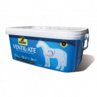 Winergy Ventil-ate 2.8kg