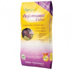 TopSpec Performance Cubes 20KG