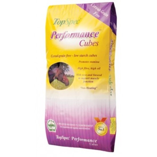 TopSpec Performance Cubes 20KG