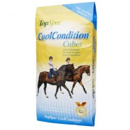 TopSpec Cool Condition Cubes 20 kg