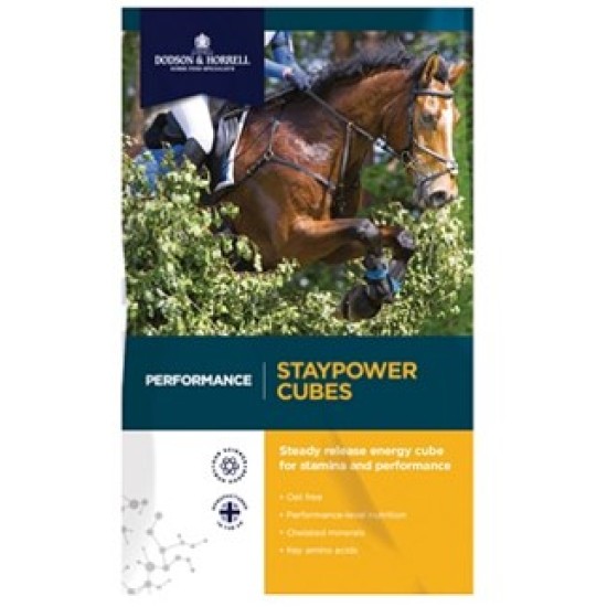 Dodson & Horrell Staypower Cubes 20kg Dodson & Horrell Staypower Cubes 20kg