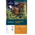 Dodson & Horrell Staypower Muesli 20kg
