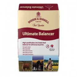 Dodson & Horrell Ultimate Balancer 20kg