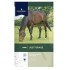 Dodson & Horrell Just Grass 12.5kg
