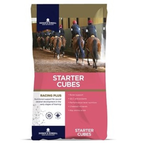 Dodson & Horrell Starter Cubes 20kg Dodson & Horrell Starter Cubes 20kg