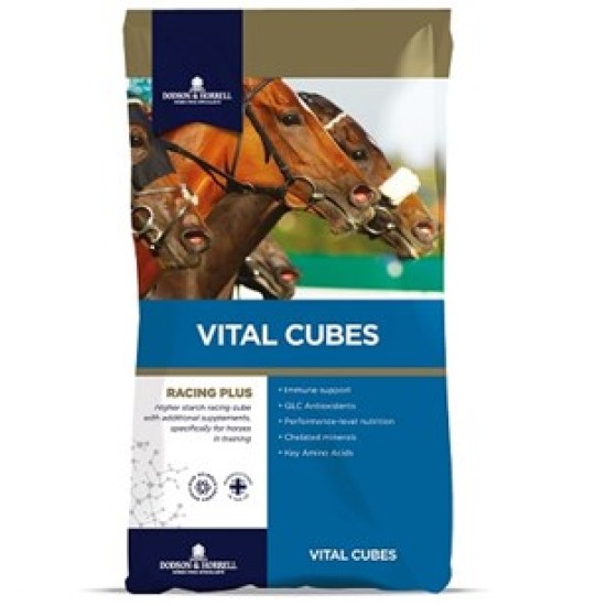 Dodson & Horrell Vital Cubes 25kg Dodson & Horrell Vital Cubes 25kg
