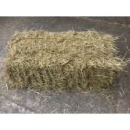 Hay Small Traditional Bale 