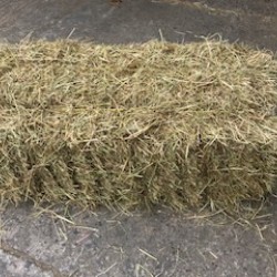 Hay Small Traditional Bale 