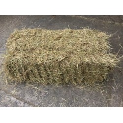 Hay Small Traditional Bale 