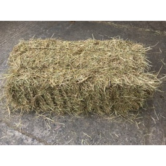 Hay Small Traditional Bale Hay Small Traditional Bale
