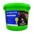 GLOBAL HERBS GLOBALVITE 6 kg