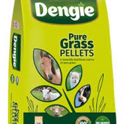 Dengie Grass Pellets 20kg